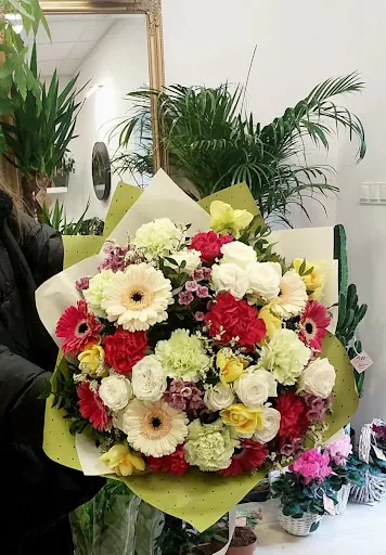 Kwiaciarnia KORNELIA 2